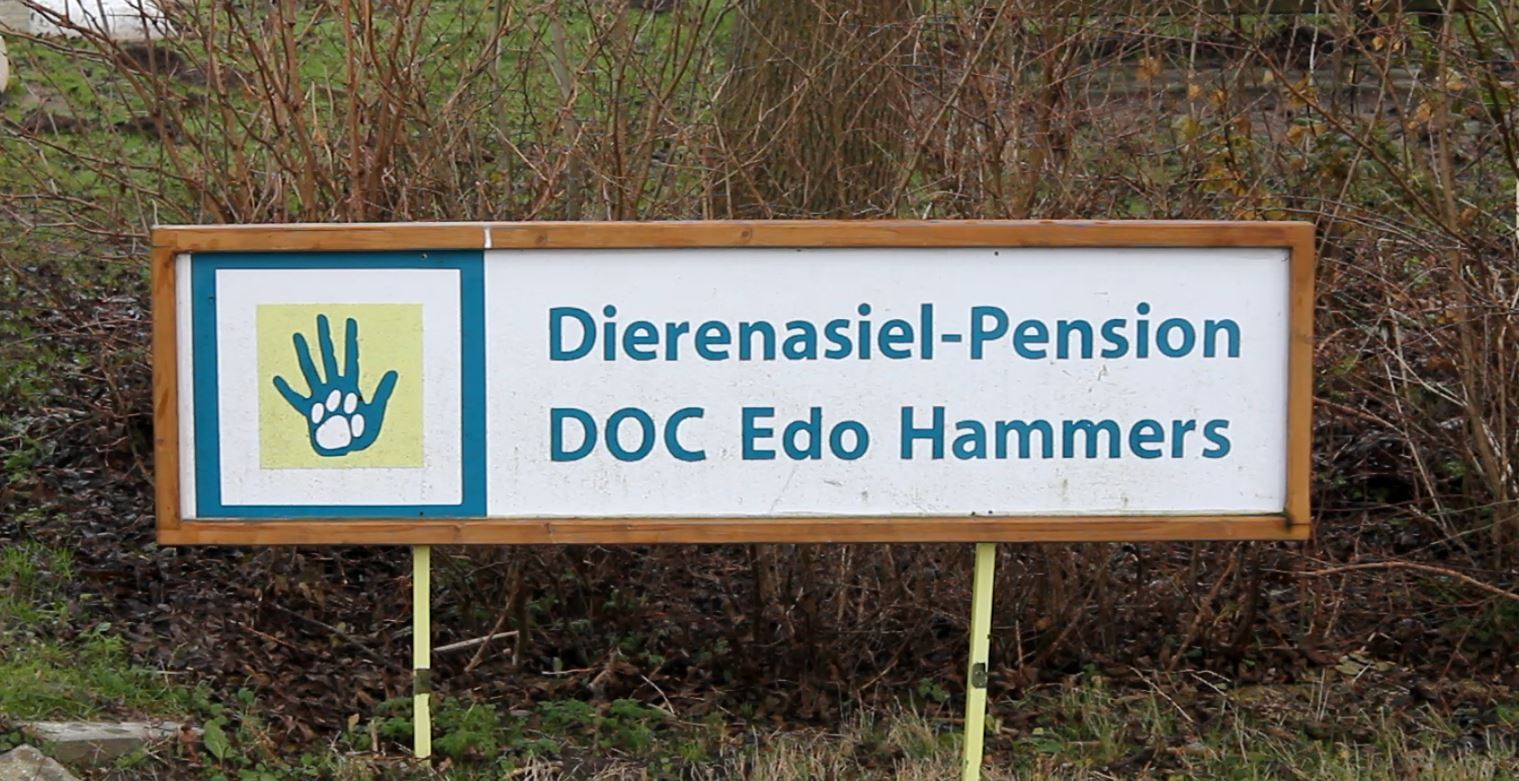 Dierenopvangcentrum Edo Hammers sluit noodgedwongen haar deuren
