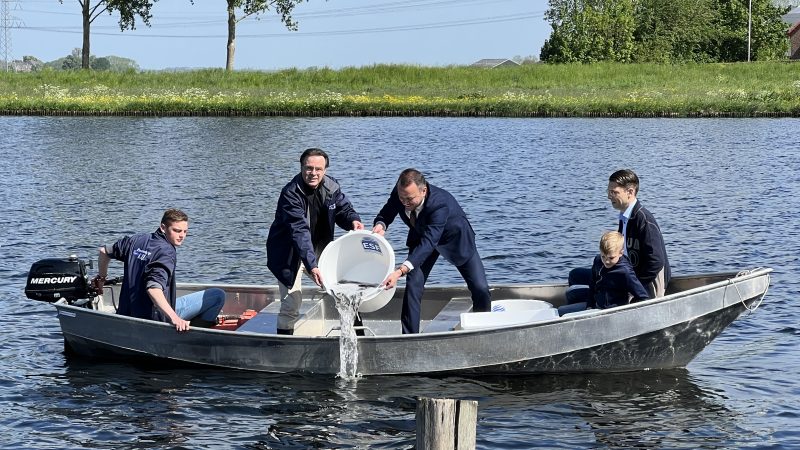 Duizenden jonge palingen uitgezet voor Kampen en Zwartewaterland