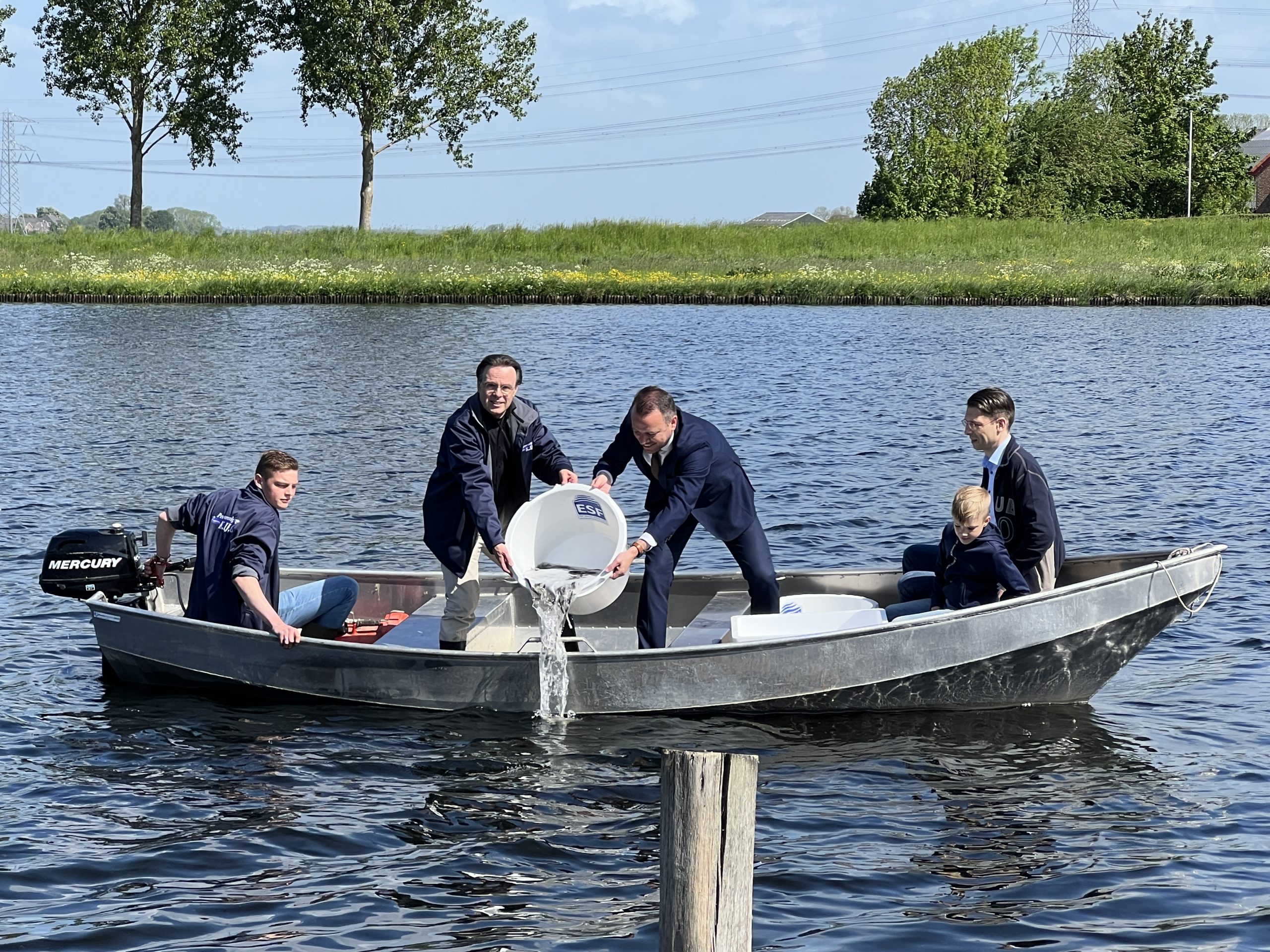 Duizenden jonge palingen uitgezet voor Kampen en Zwartewaterland